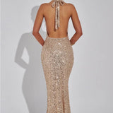 Stellara | Maxi Dress